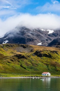 Former whaling station Grytviken