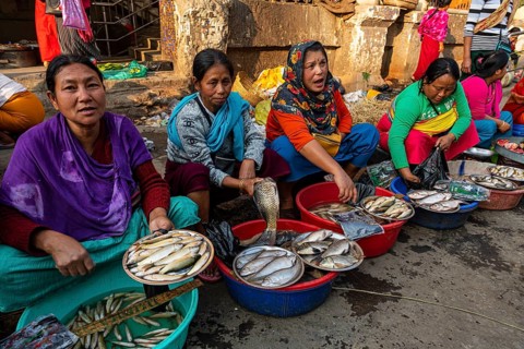 Colourful dressed women vendors selling fish