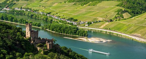 Sooneck Castle on the Rhine
