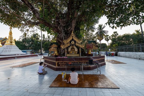 Pilgrims praying in the Shwedagon pagoda