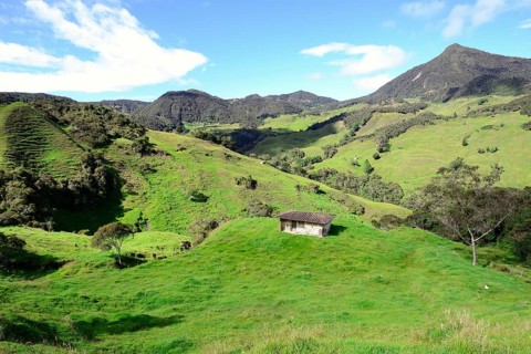 Cottage in green hilly landscape near Vilcabamba