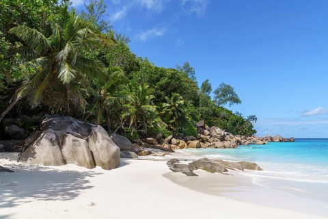 Sandy beach beach Anse Georgette