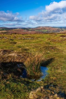 Fields and meadows in Haytor Rocks
