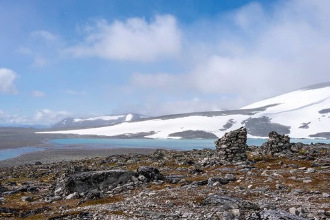 Tundra