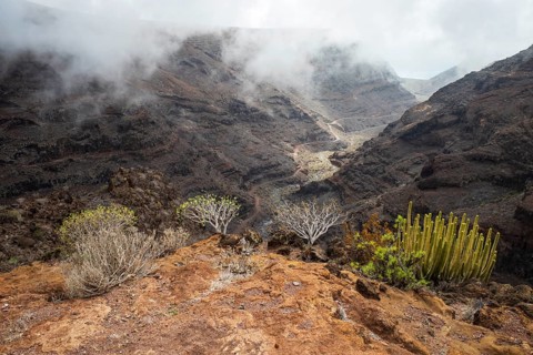 Barranco de la Negra