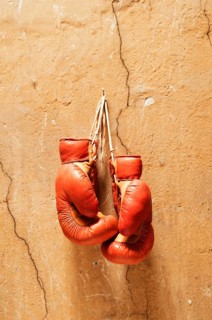 Boxing gloves
