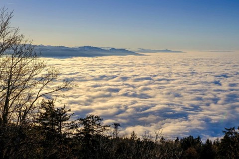 Sunset over high fog