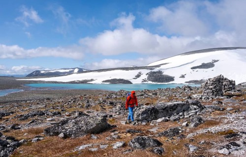 Tundra