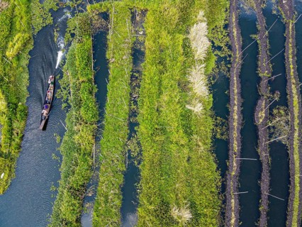 Aerial of the floating gardens