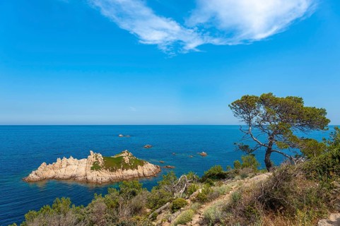 Rocher des Portes Island at Cap Camarat