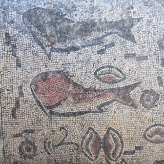 Mosaics with Fish figures