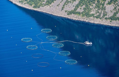 Aquaculture