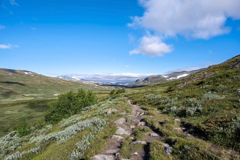Hiking trail in the mountains with Bergen