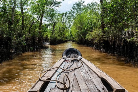 Rowing through a small water channel