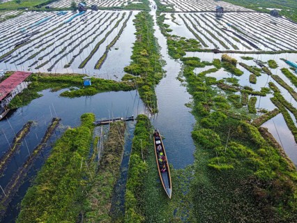 Aerial of the floating gardens