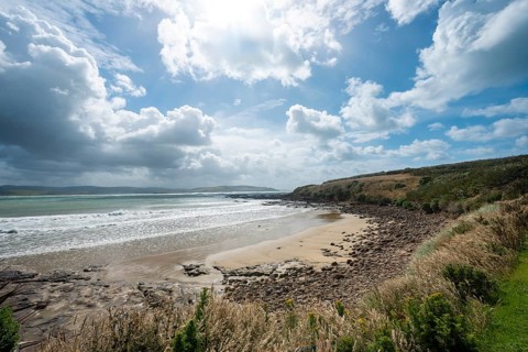 View of sandy beach and sea at Curio Bay
