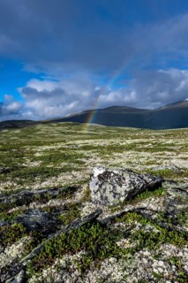 Rainbow in the tundra