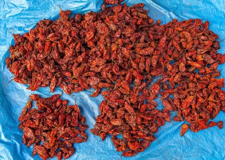 King Chili