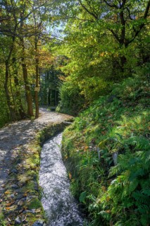 Marlinger Waalweg