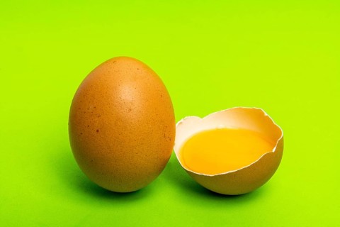 Eggs on a green background