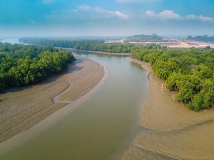 Aerial of water channel through the mangroves