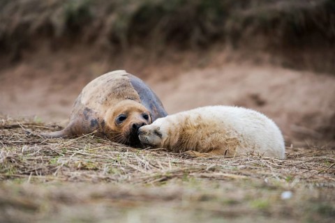 Mother with baby