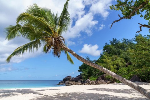 Sandy beach beach Anse Georgette