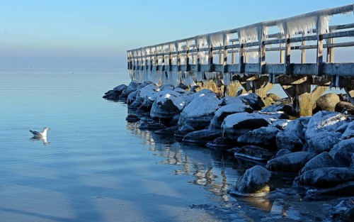 Pier with icicles