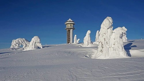 Snowy fir trees in winter landscape next to Feldberg tower