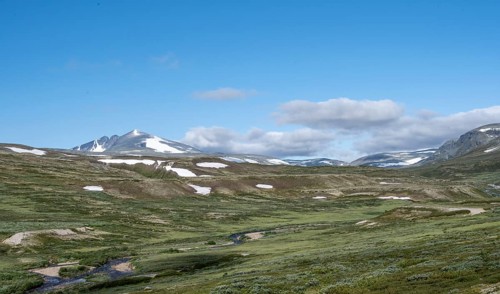 Brook in the fjell