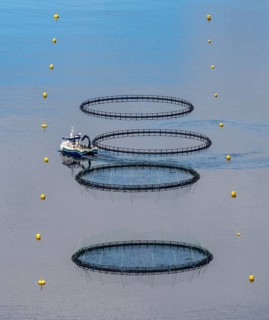 Aquaculture
