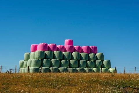 Multicolored bales of silage