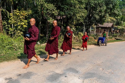 Monks on their early morning walk for rice