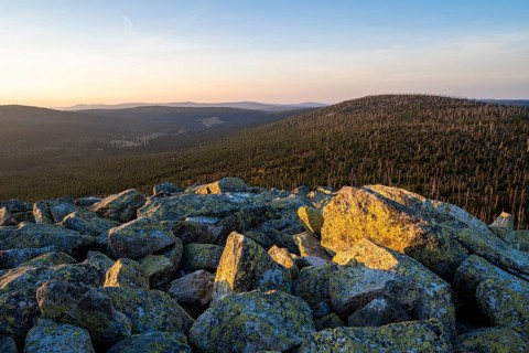 View from Lusen
