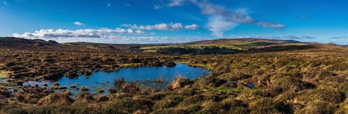 Fields and meadows in Haytor Rocks
