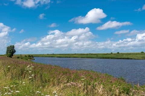 Landscape at the Leyhoerner-Sieltief