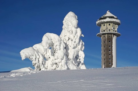 Snowy fir trees in winter landscape next to Feldberg tower
