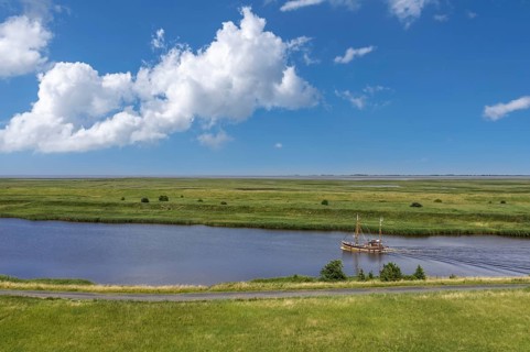 Drone image