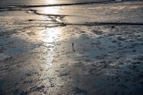 Aerial view of a mudflat walker in the Wadden Sea at low tide