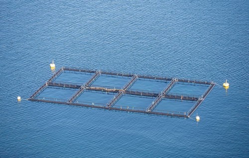 Aquaculture
