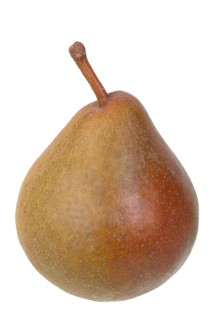Madame Verte pear variety