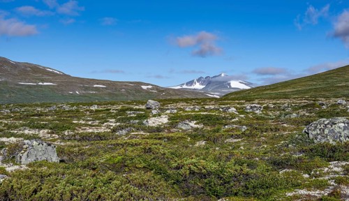 Fjell with mountain Snohetta