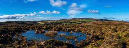 Fields and meadows in Haytor Rocks