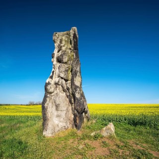 Stone virgin