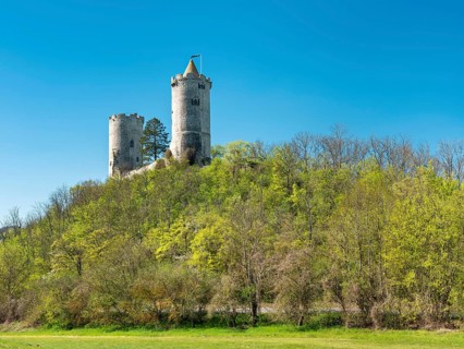 Castle ruin Saaleck in spring