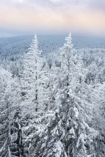 View from the rock formation Rudolphstein over spruce forest with snow to the Schneeberg in winter