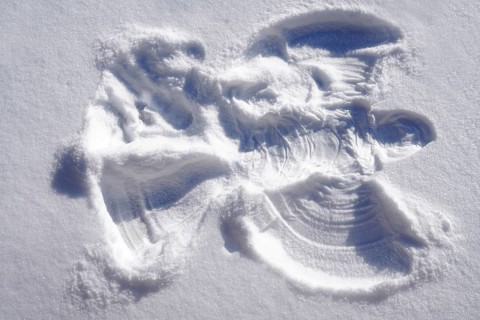 Snow Angel