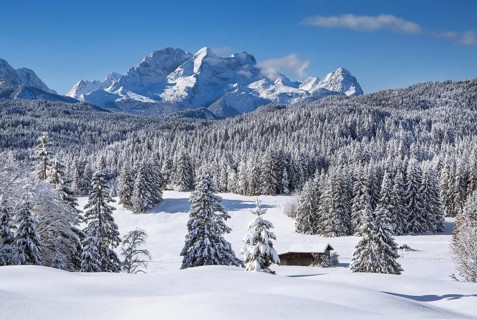 Winterly hummock meadows with Zugspitze group in the Wetterstein mountains