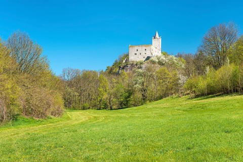 Rudelsburg castle ruins in spring