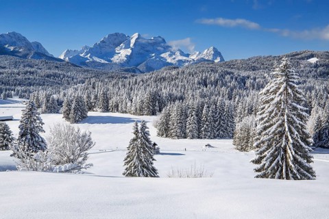 Winterly hummock meadows with Zugspitze group in the Wetterstein mountains